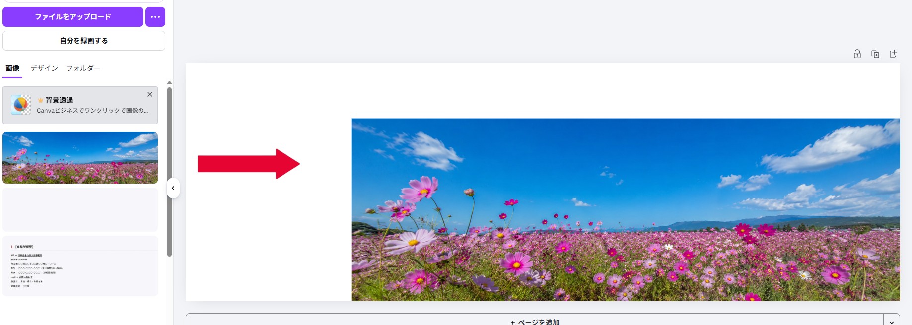 �s�����m�̃u���O�iWordPress�j